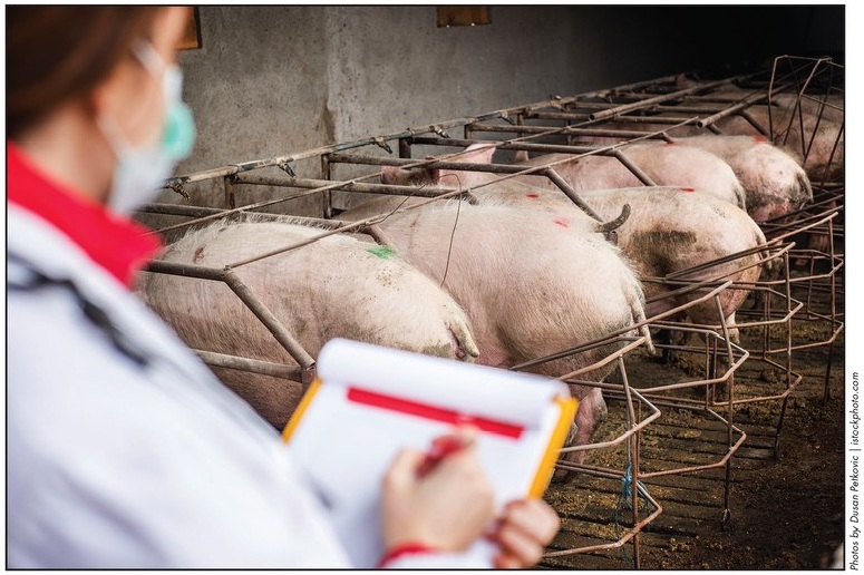 Prevention is always more profitable than treatment, especially for diseases that are difficult to treat.