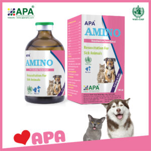 APA AMINO