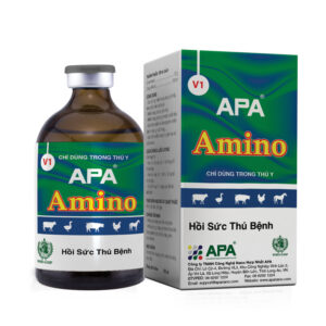 APA AMINO
