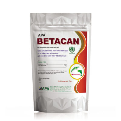 APA BETACAN