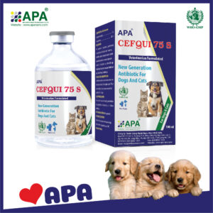 APA CEFQUI 75 S