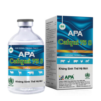 APA CEFQUI 75 S