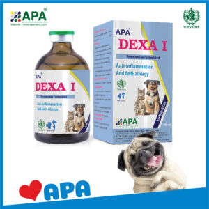 APA DEXA I
