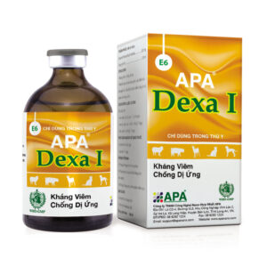 APA DEXA I