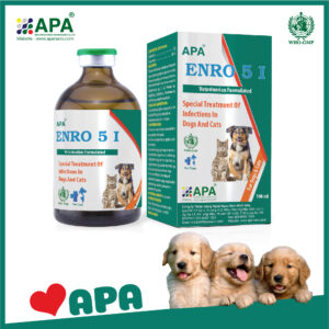 APA ENRO 5 I