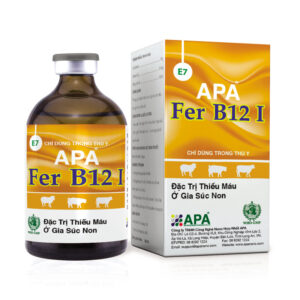 APA FER B12 I