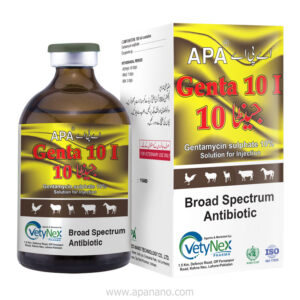 APA GENTA 10 I