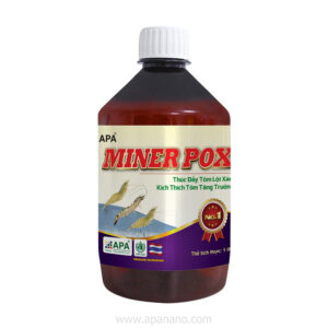 APA MINER POX