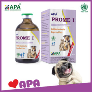 APA PROME I