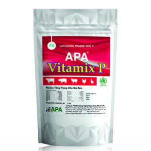APA VITAMIX P