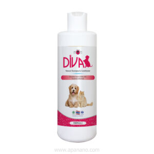 DIVA 2